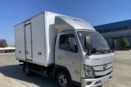 Foton Aumark 4X2 frozen vehicle