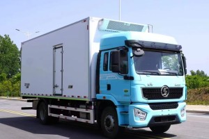 4X2 Shacman Delong L500 Refrigerated truck 