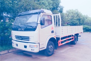 Dongfeng 4X2 6 Ton Lorry Cargo Truck