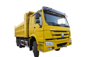 30 Ton Howo Dump Truck